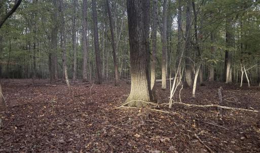 Photo #1 of Dark Oaks, Pittsboro, NC 0.9 acres