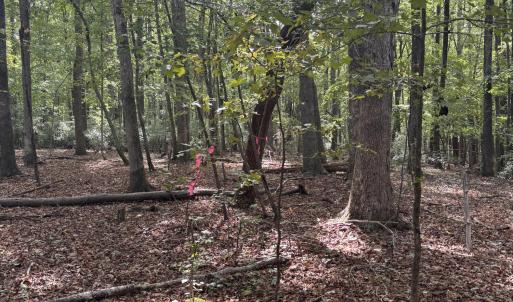 Photo #3 of Dark Oaks, Pittsboro, NC 0.9 acres