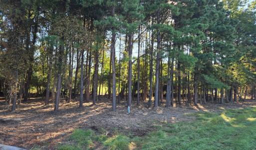 Photo #1 of Godwin Lake, Benson, NC 2.6 acres
