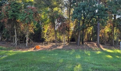 Photo #2 of Godwin Lake, Benson, NC 2.6 acres