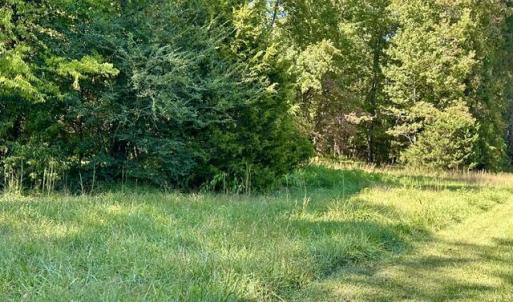 Photo #5 of 3 Harmony Church, Efland, NC 10.0 acres