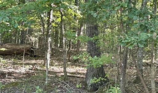 Photo #14 of 3 Harmony Church, Efland, NC 10.0 acres