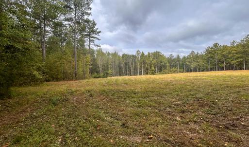 Photo #22 of Mcdougald, Lillington, NC 10.5 acres