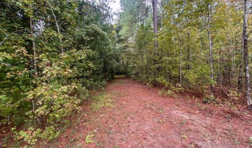 Photo #24 of Mcdougald, Lillington, NC 10.5 acres