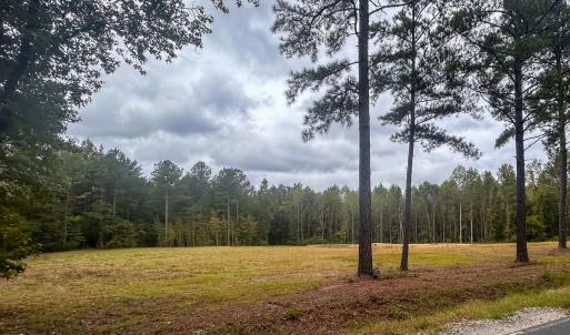 Photo #16 of Mcdougald, Lillington, NC 10.5 acres