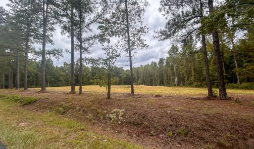Photo #17 of Mcdougald, Lillington, NC 10.5 acres