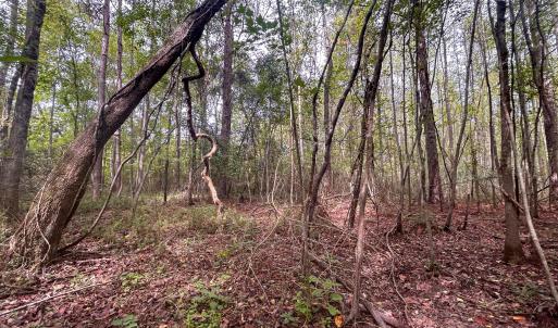Photo #26 of Mcdougald, Lillington, NC 10.5 acres
