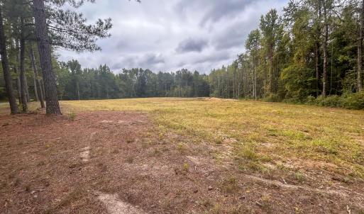 Photo #18 of Mcdougald, Lillington, NC 10.5 acres