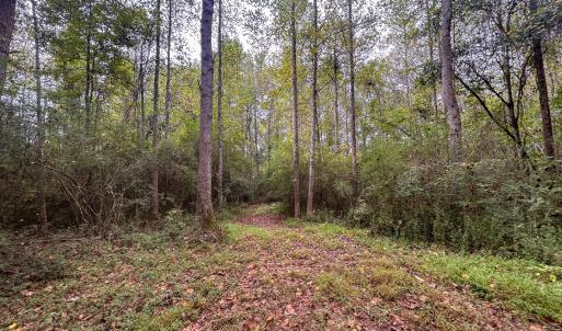Photo #25 of Mcdougald, Lillington, NC 10.5 acres