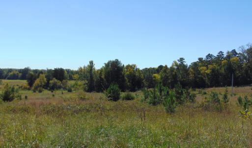 Photo #2 of Lonnie Harris, Oxford, NC 8.7 acres
