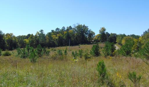 Photo #1 of Lonnie Harris, Oxford, NC 8.7 acres