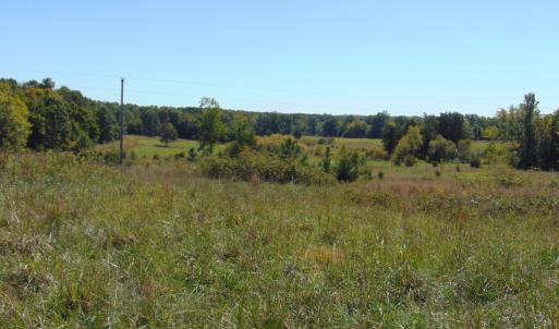 Photo #3 of Lonnie Harris, Oxford, NC 8.7 acres