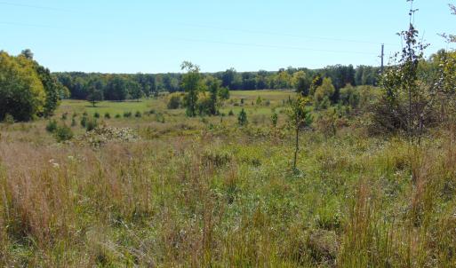 Photo #4 of Lonnie Harris, Oxford, NC 8.7 acres