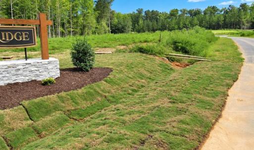 Photo #4 of 4447 Poppy Mallow, Oxford, NC 146.3 acres