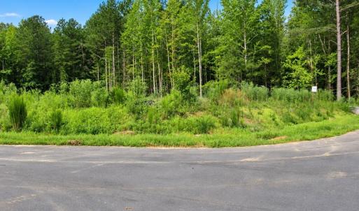 Photo #6 of 4447 Poppy Mallow, Oxford, NC 146.3 acres