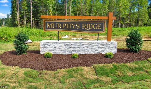 Photo #3 of 4447 Poppy Mallow, Oxford, NC 146.3 acres