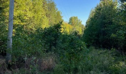 Photo #13 of Tbd Fontaine, Roxboro, NC 94.8 acres