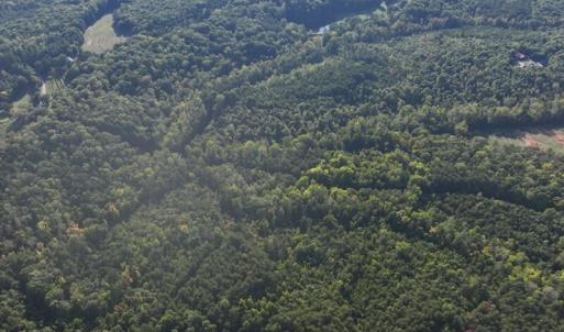 Photo #6 of Tbd Fontaine, Roxboro, NC 94.8 acres