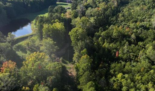 Photo #12 of Tbd Fontaine, Roxboro, NC 94.8 acres