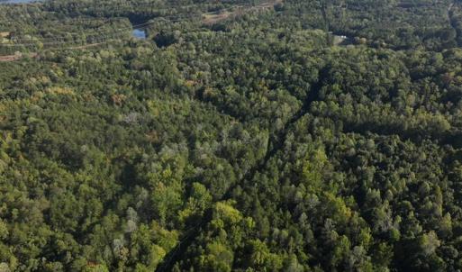 Photo #5 of Tbd Fontaine, Roxboro, NC 94.8 acres