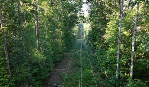 Photo #11 of Tbd Fontaine, Roxboro, NC 94.8 acres