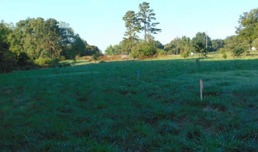 Photo #12 of County Home Lot 1, Blanch, NC 1.0 acres