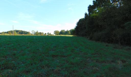 Photo #11 of County Home Lot 1, Blanch, NC 1.0 acres