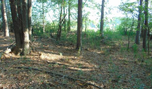 Photo #13 of County Home Lot 1, Blanch, NC 1.0 acres