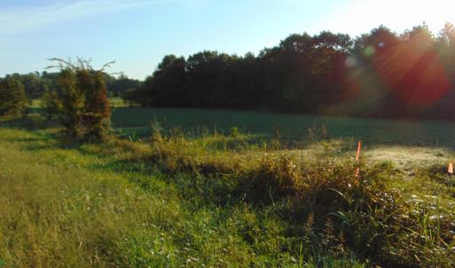 Photo #7 of County Home Lot 1, Blanch, NC 1.0 acres