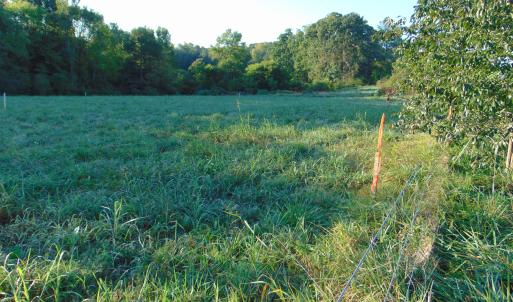 Photo #9 of County Home Road Lot 2, Blanch, NC 1.0 acres