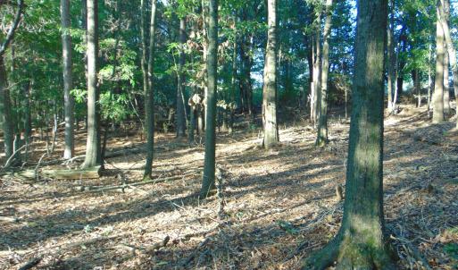 Photo #11 of County Home Road Lot 2, Blanch, NC 1.0 acres