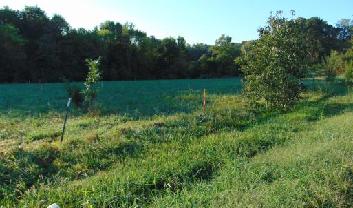 Photo #6 of County Home Road Lot 3, Blanch, NC 1.1 acres
