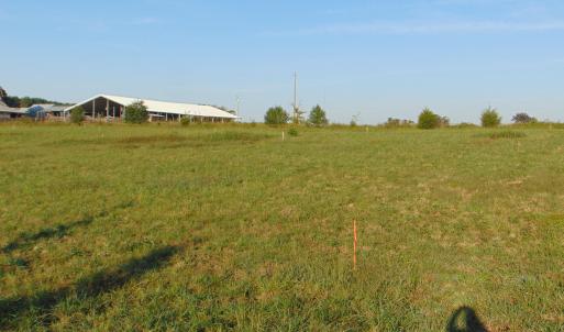 Photo #8 of County Home Road Lot 4, Blanch, NC 1.1 acres