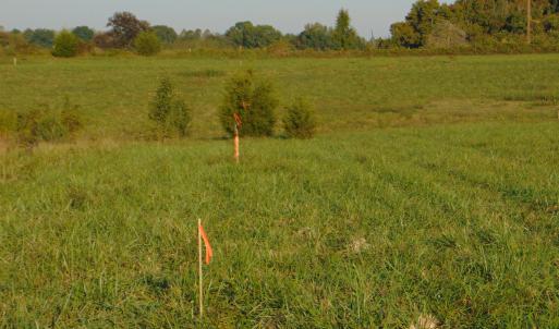 Photo #9 of County Home Road Lot 4, Blanch, NC 1.1 acres