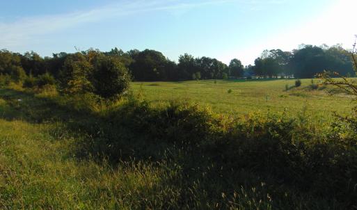 Photo #10 of County Home Road Lot 4, Blanch, NC 1.1 acres