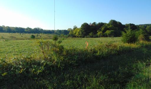 Photo #9 of County Home Road Lot 5, Blanch, NC 1.1 acres