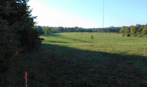 Photo #10 of Files Lot 6, Blanch, NC 1.1 acres