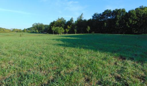 Photo #9 of Files Lot 6, Blanch, NC 1.1 acres