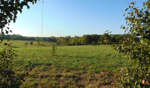Photo #7 of Files Lot 6, Blanch, NC 1.1 acres