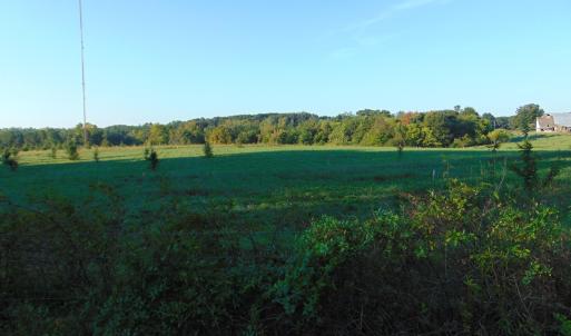Photo #9 of Files Lot 7, Blanch, NC 1.0 acres