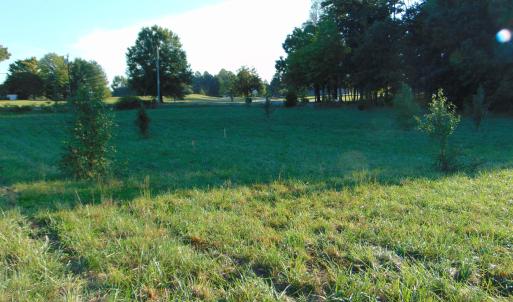 Photo #9 of Files Lot 8, Blanch, NC 1.1 acres