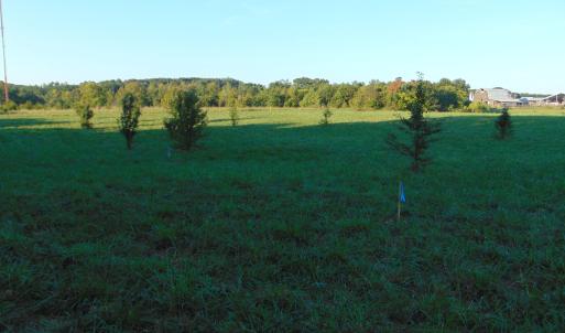 Photo #10 of Files Lot 8, Blanch, NC 1.1 acres