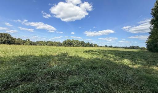 Photo #7 of 2475 Coleridge, Siler City, NC 140.0 acres