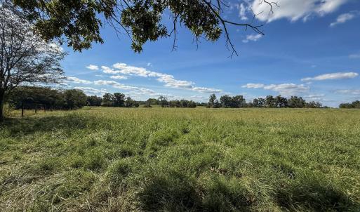 Photo #10 of 2475 Coleridge, Siler City, NC 140.0 acres