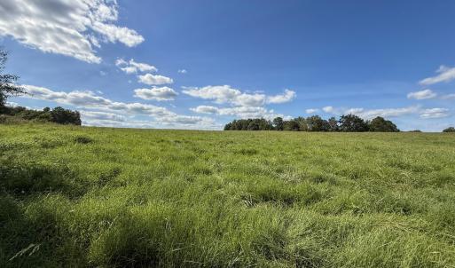Photo #6 of 2475 Coleridge, Siler City, NC 140.0 acres