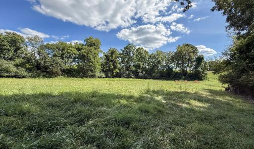 Photo #3 of 2475 Coleridge, Siler City, NC 140.0 acres