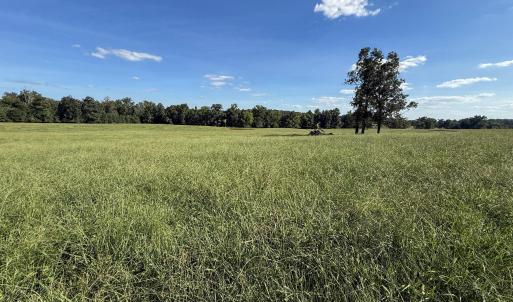 Photo #16 of 2475 Coleridge, Siler City, NC 140.0 acres