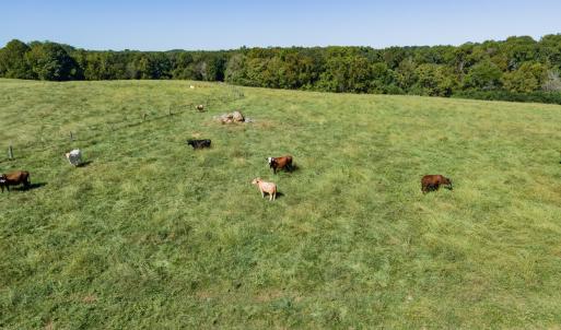 Photo #40 of 2475 Coleridge, Siler City, NC 140.0 acres