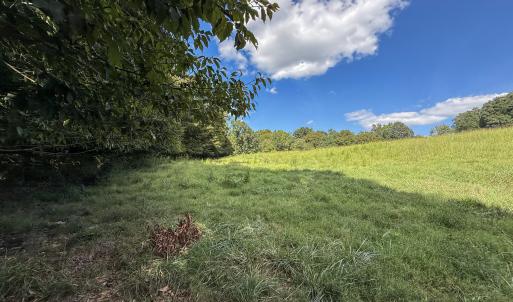 Photo #9 of 2475 Coleridge, Siler City, NC 140.0 acres
