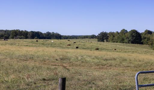 Photo #23 of 2475 Coleridge, Siler City, NC 140.0 acres
